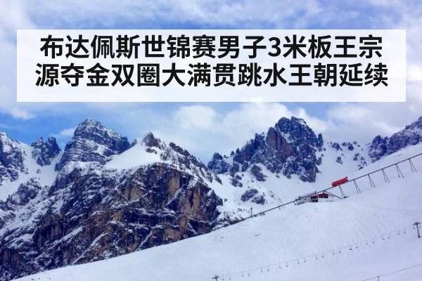 布达佩斯世锦赛男子3米板王宗源夺金双圈大满贯跳水王朝延续
